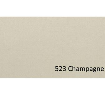 523 Champagne.jpg